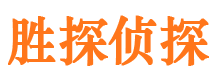 绿园侦探公司